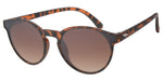 Sylter - Kleist Leopard